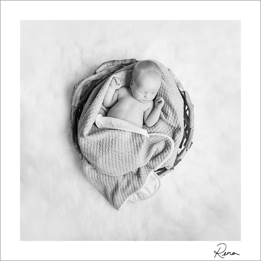 London Ontario Maternity, Newborn, Child and Family Photographer